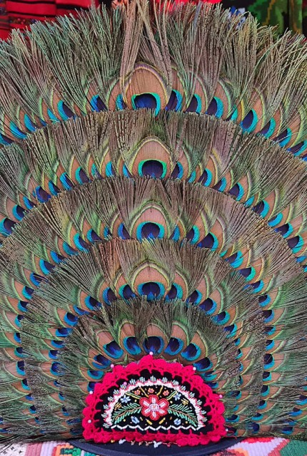 Clop cu pana de paun cu cinci randuri