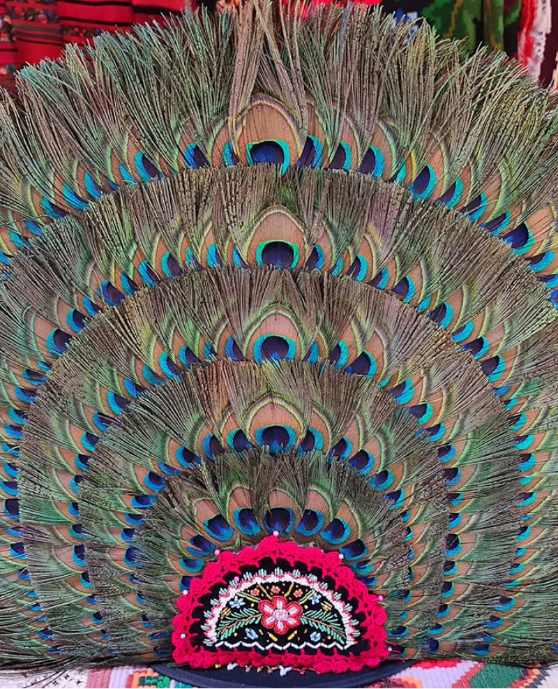 Clop cu pana de paun cu cinci randuri