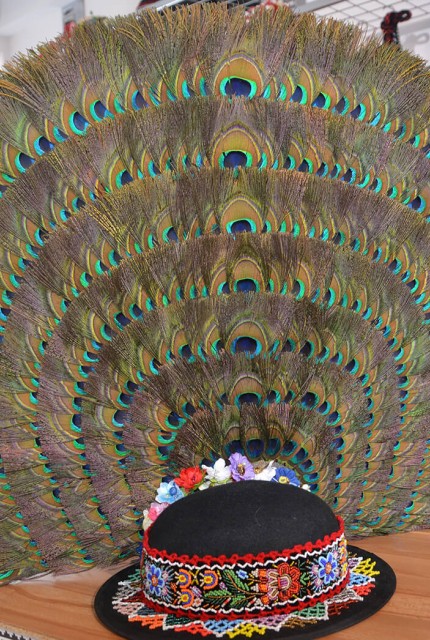 Clop cu pana de paun cu sapte randuri