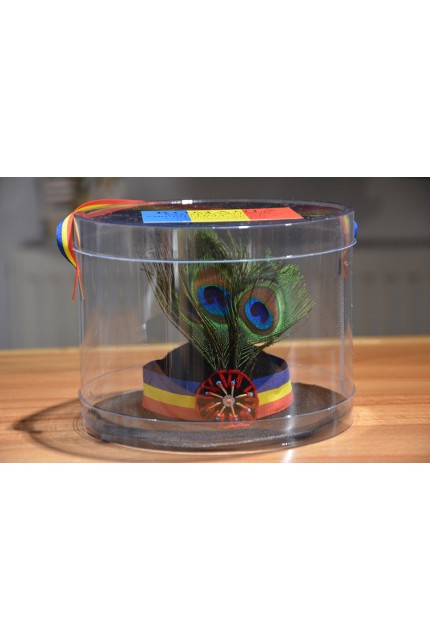 Clop cu pana de paun (miniatura)