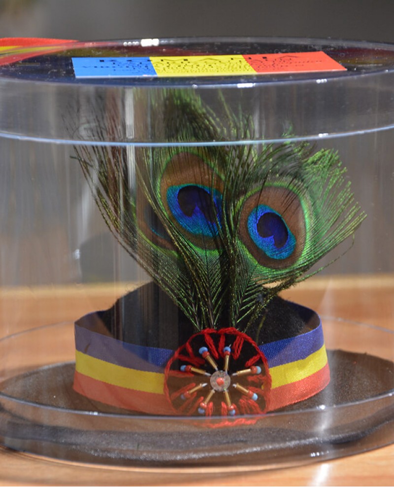 Clop cu pana de paun (miniatura)